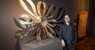 Bush Lines exhibition explores Australian landscapes
