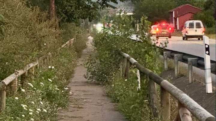 La "Senda de Cascos", entre Cangas de Onís y Arriondas, una selva en estado puro
