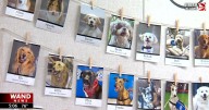 Dogs prescribing cuddles at new Paw Print Ministries hospital room