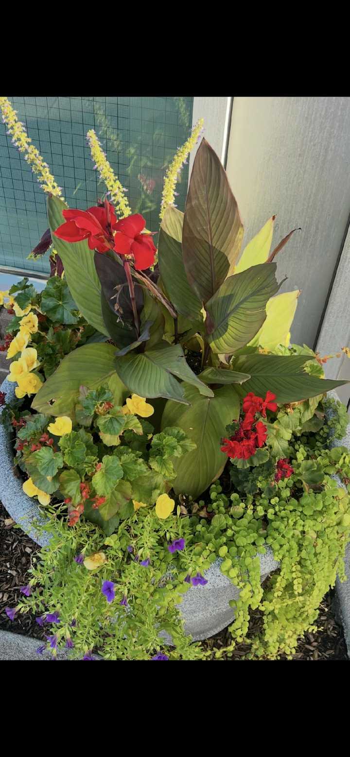 Flowers for Mariah!