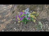 Stockton man arrested after Napa County crash kills six, CHP says