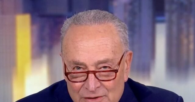 Schumer Claims Trump Won't Negotiate So He Will Own a Shutdown