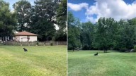 Ohio Volunteer’s Sweetest Gesture Heals A Broken