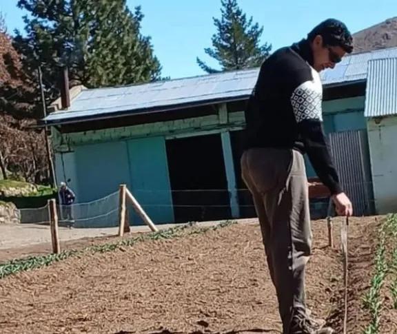 Miles de tulipanes florecen en Huinganco y se preparan para el Día de la Madre