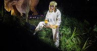 Bad Bunny will stream additional Puerto Rico show on Sept. 20
