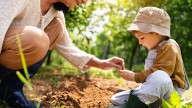 The Hardy Vegetable You Should Plant This Fall