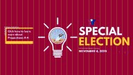 Whitehouse residents to vote on city charter clean