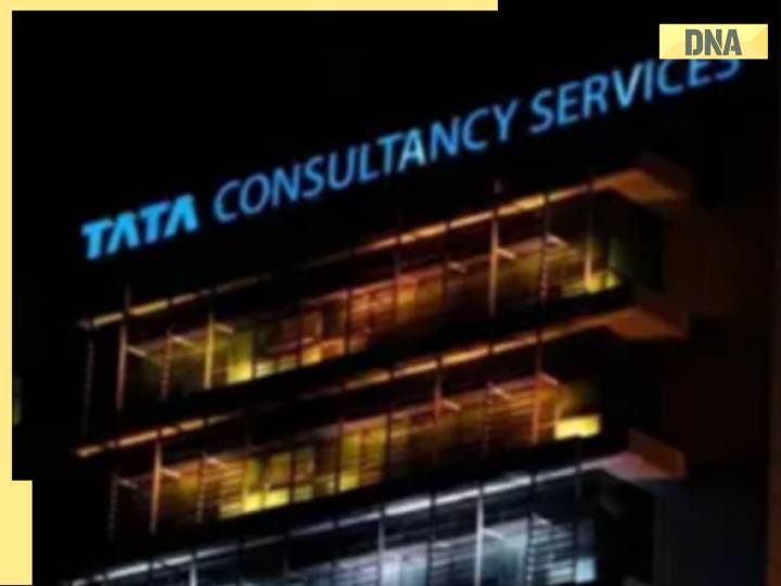 TCS incurs massive valuation loss, Reliance, Infosys stay afloat due to...