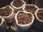 ¿Hay complicaciones para los exportadores de café por la baja del dólar en Colombia?