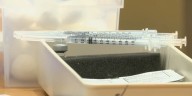 Gov. Hobbs issues executive order expanding Covid