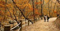 El otoño arranca este lunes a las 20.19: así será en Ourense