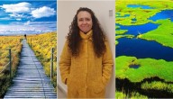 "Chile en Silencio": Ana María Casas-Cordero, la artista detrás del libro con paisajes únicos del país