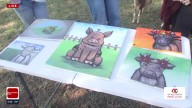 Kellyville farm brings back its Highland Cow Paint Party classes