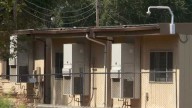 Flea infestation forces one-day closure at an Ione school