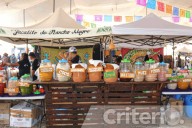 Ocampo celebra el Festival del Pulque con tradición, música y sabor hidalguense