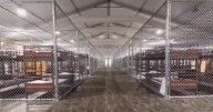 Tribunal de apelaciones permite continuidad de operaciones en Alligator Alcatraz