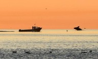 Los servicios turísticos locales de Madryn llegan a la reconocida plataforma Citivatis