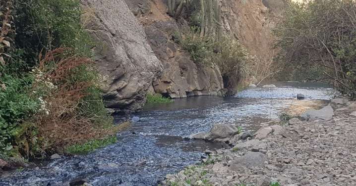 MMA protege Estero del Arrayán y Región Metropolitana suma 6.000 hectáreas resguardadas