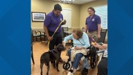 Northshore Humane Society launches 'Golden Paws' to pair seniors with shelter dogs