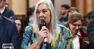 Ley de Discapacidad. Una senadora de Chubut calificó el rechazo al veto de Javier Milei como un freno «a la motosierra» contra los vulnerables