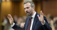Canada Post set to reduce frequency of letter mail delivery: minister