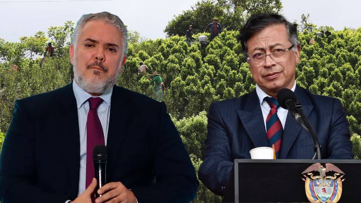 Con cifras en la mano, Iván Duque le responde a Petro por los cultivos de coca: “A las bajezas, altura”