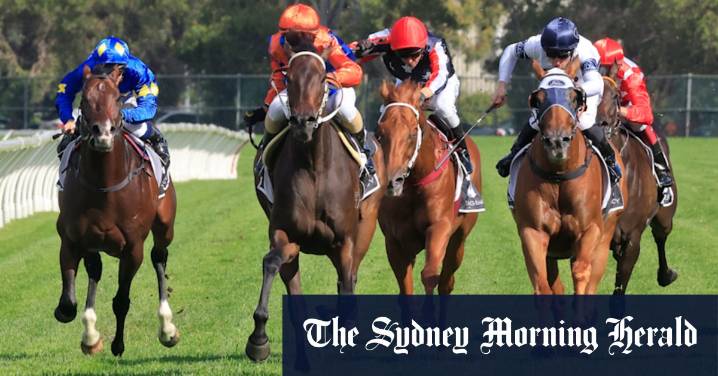 Race-by-race preview and tips for Sunday’s meeting at Dubbo