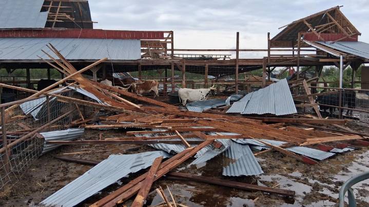 North Texas storms cause 'widespread damage' in Gunter