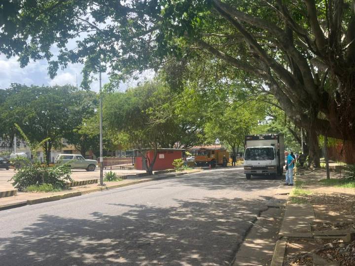 Desalojan centro comercial Zulia por enjambre de avispas