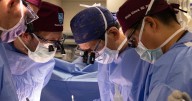 New Hampshire man gets pig kidney as a transplant ahead of trials
