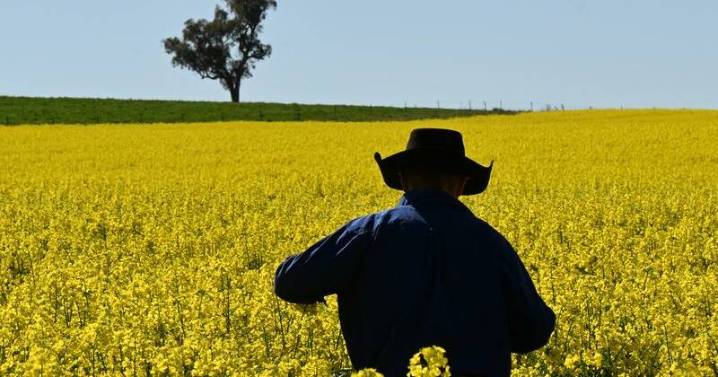 Farming export success sows seeds of growth goal reset