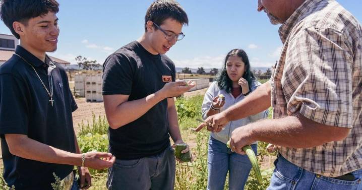 Mark Richardson CTE Center to highlight corn, careers, community on Farm Day Saturday