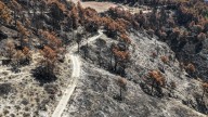 El Govern destinará 75 millones en cinco años a crear franjas de protección contra los incendios