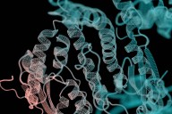 Lila Biologics Spins Out of Baker Lab, Announces Lilly Partnership