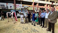 El Mercado Nacional de Ganados acoge el concurso de ganado frisón y la I feria ‘Sabores de la Tierra de Cantabria’