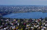 Toxic algae found in Seattle’s Green Lake: Dogs, people should stay out