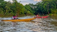 Canotaje ancestral en Puerto Girón: tradición, cultura y competencia en Urabá