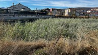 Alertan sobre el estado del Río Híjar: acumulación de vegetación y falta de mantenimiento preocupan a vecinos y administraciones locales