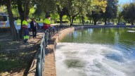 Andalucía confirma su primer caso de virus del Nilo en humanos de esta temporada