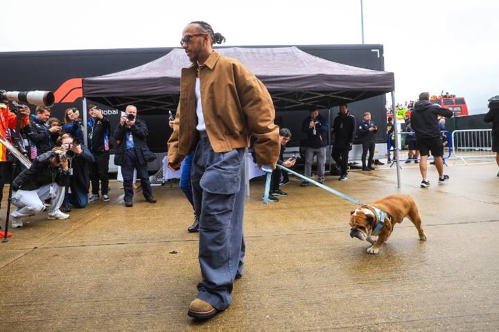 Lewis Hamilton se despide de ‘Roscoe’, su perro con 1,4 millones de fans en Instagram