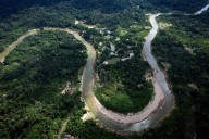 Well-preserved Amazon rainforest on Indigenous lands can protect people from diseases, study finds