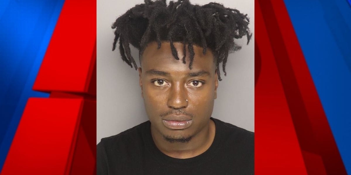 Man sentenced for deadly Greenville Co. break