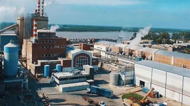 Celulosa Argentina se presentó en concurso de acreedores tras un balance devastador