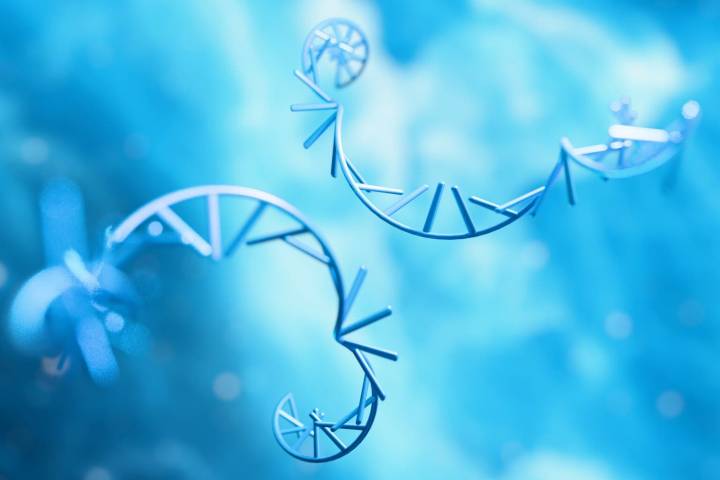 Alnylam: Amvuttra's Launch And Ongoing Clinical Progress Are Positives (NASDAQ:ALNY)