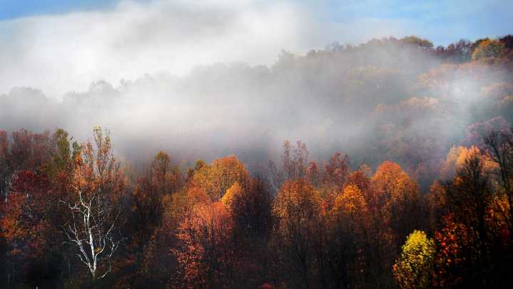 Dense fog advisory issued ahead of morning commutes in Central Indiana