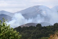 Los incendios están debilitando el sumidero natural de carbono en Europa, según un informe