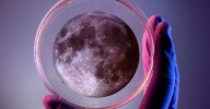 El plan gratis en Zaragoza para este 26 de septiembre: ciencia, talleres y hasta una cata de vinos