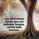 Resiliencia: el secreto psicológico de los que superan la adversidad
