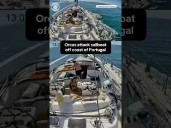 Orcas attack sailboat off coast of Portugal #shorts
