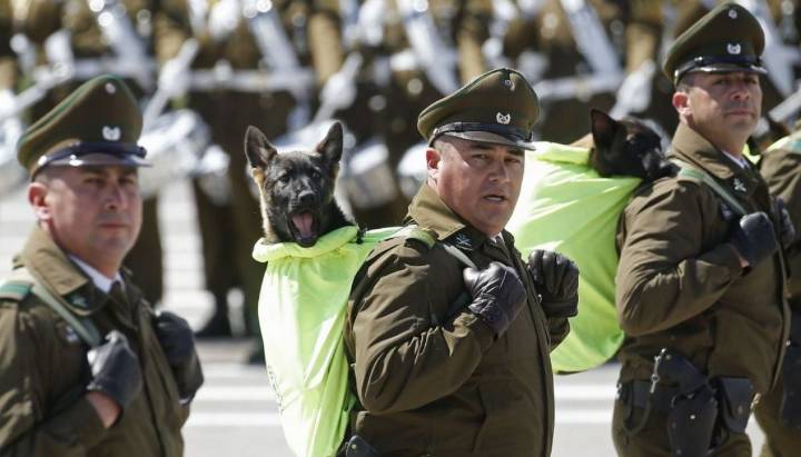 Todo listo para la gran Parada Militar 2025: conoce los detalles del desfile